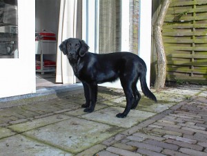 Flat steht vor der Terassentür