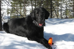 Flat im Schnee liegend  