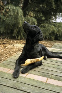 Flat liegend schaut in die Luft 