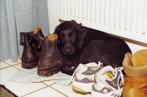 Baas Eliot, Rufname Eliot