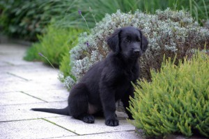 Lynn vor einem Beet sitzend          