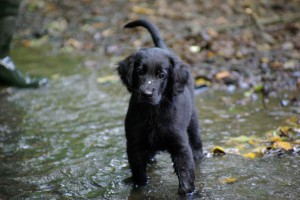 Lynn in einem Bach stehend                      