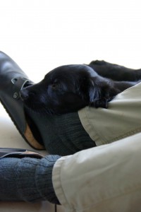 Lynn's Kopf  auf einem Fuß liegend                                  