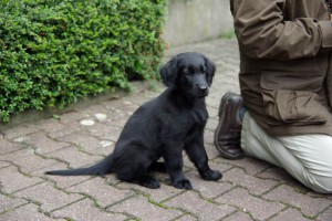 Lynn sitzt neben ihrem knieenden Herrchen                            