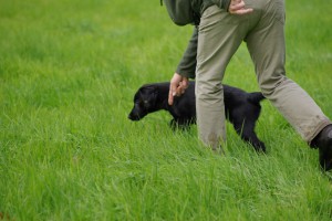 Lynn wird mit dem Finger etwas im Gras gezeigt                        