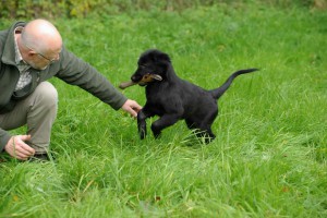 Der Rehlauf wird Herrchen gebracht                         