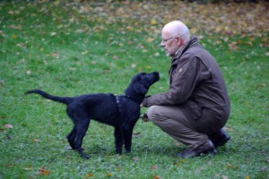 Lynn schaut Herrchen (in der Hocke) an 
