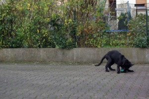 Lynn faßt das Dummy 