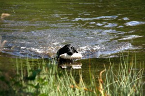 Wasserseminar Anfang Juli 2016