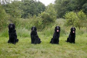 Lynn (von li.), Mutter Aislinn, Brüder Blue und Conner