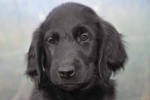 Malou in den ersten 8 Wochen