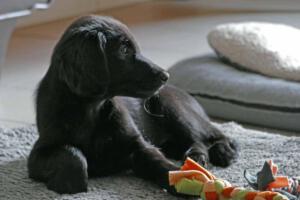 Mein erstes Jahr in meiner Familie