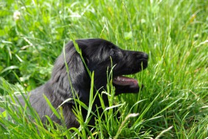 Das erste Jahr bei meiner Familie