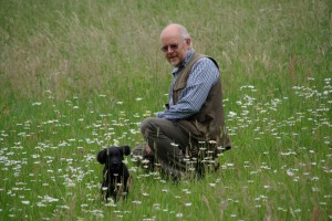 Mit Herrchen auf einer Wiese    
