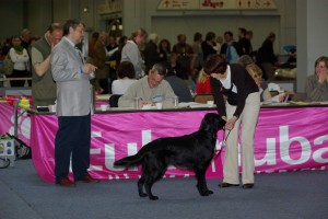 Präsentation vor dem Richter
