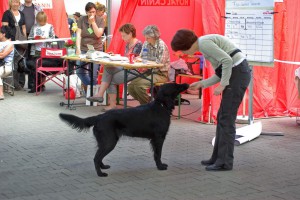 Tyra und Frauchen vor dem Richtertisch