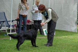 Tyra wird zur Beurteilung der Richterin präsentiert